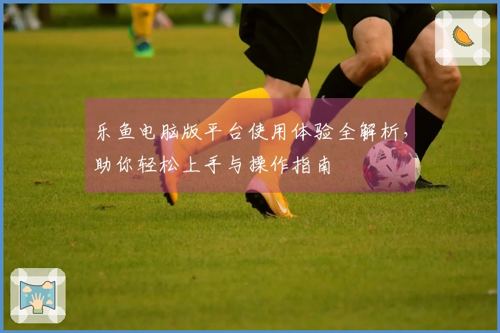 乐鱼电脑版平台使用体验全解析，助你轻松上手与操作指南