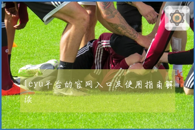 leyu平台的官网入口及使用指南解读