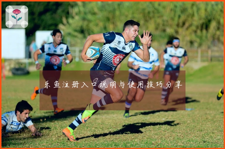 乐鱼注册入口说明与使用技巧分享