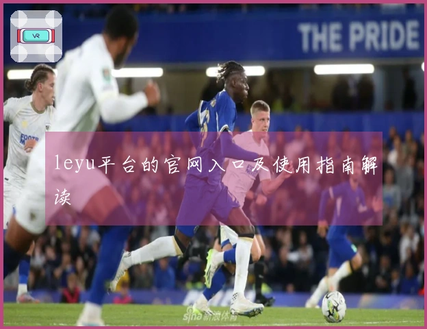 leyu平台的官网入口及使用指南解读