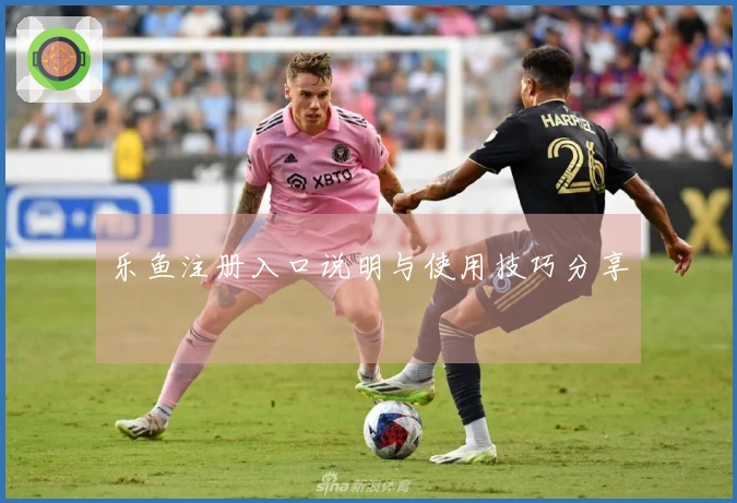 乐鱼注册入口说明与使用技巧分享