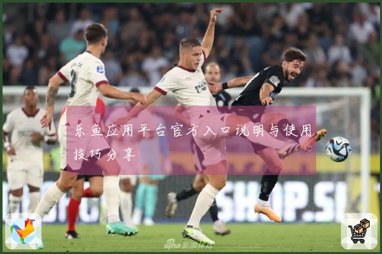 乐鱼应用平台官方入口说明与使用技巧分享